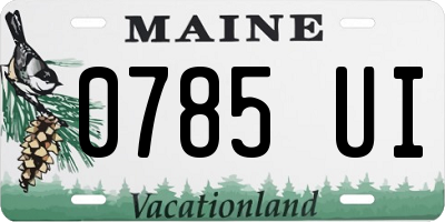 ME license plate 0785UI