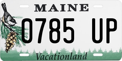 ME license plate 0785UP