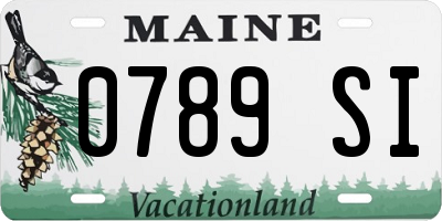 ME license plate 0789SI