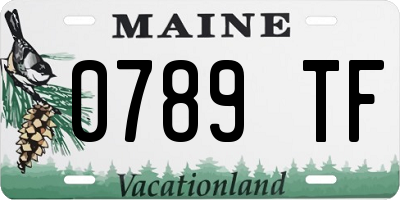 ME license plate 0789TF