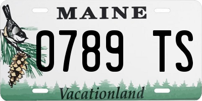 ME license plate 0789TS
