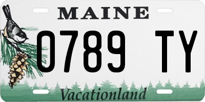 ME license plate 0789TY
