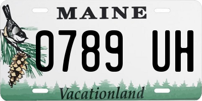 ME license plate 0789UH