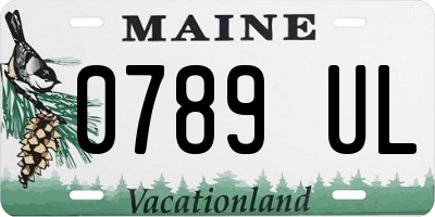 ME license plate 0789UL