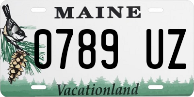 ME license plate 0789UZ