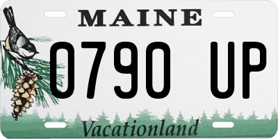 ME license plate 0790UP