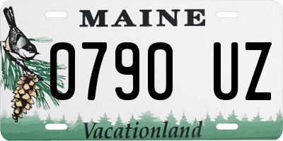 ME license plate 0790UZ