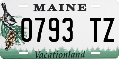 ME license plate 0793TZ