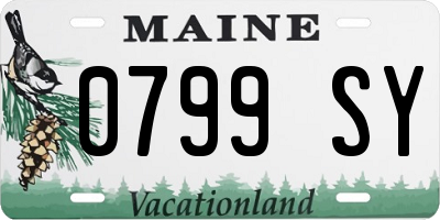 ME license plate 0799SY