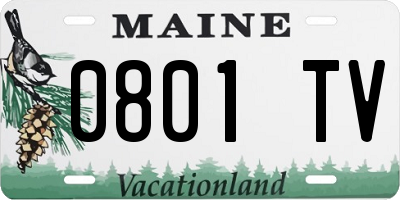 ME license plate 0801TV