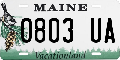 ME license plate 0803UA