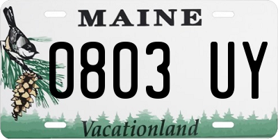 ME license plate 0803UY