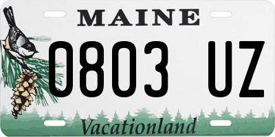 ME license plate 0803UZ