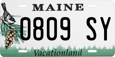 ME license plate 0809SY