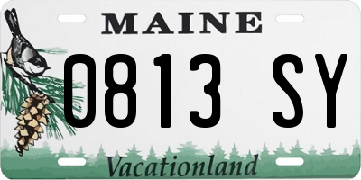 ME license plate 0813SY