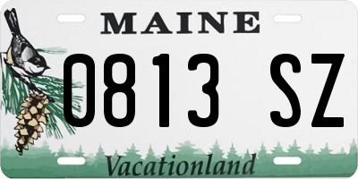 ME license plate 0813SZ