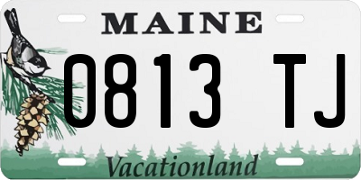 ME license plate 0813TJ