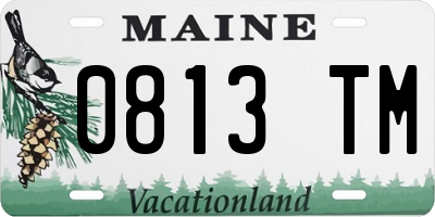 ME license plate 0813TM