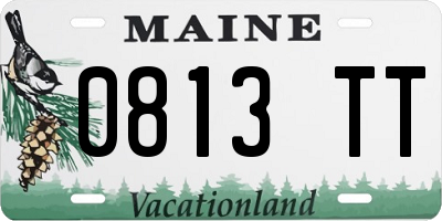 ME license plate 0813TT