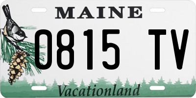 ME license plate 0815TV