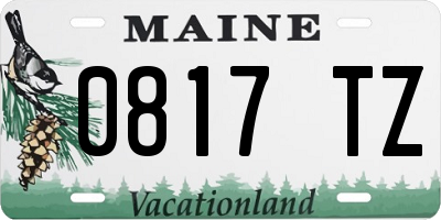ME license plate 0817TZ