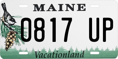 ME license plate 0817UP