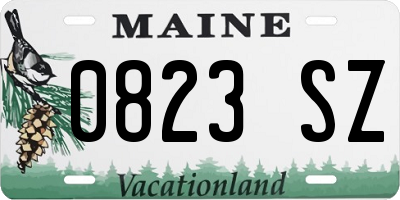 ME license plate 0823SZ