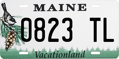 ME license plate 0823TL