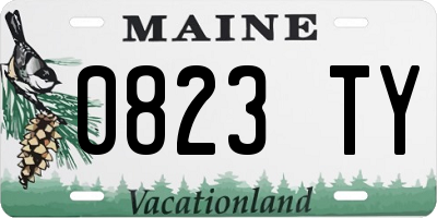 ME license plate 0823TY