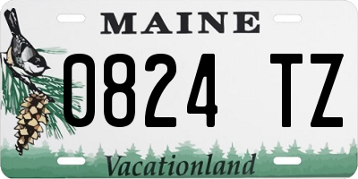 ME license plate 0824TZ