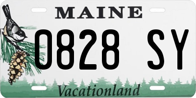 ME license plate 0828SY