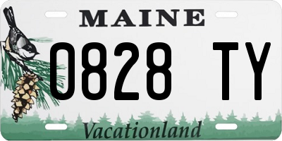 ME license plate 0828TY