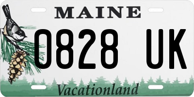 ME license plate 0828UK