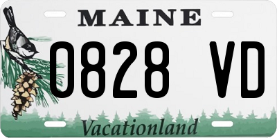 ME license plate 0828VD