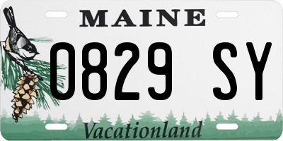 ME license plate 0829SY