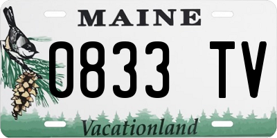 ME license plate 0833TV