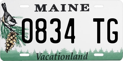 ME license plate 0834TG