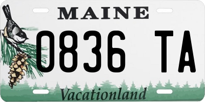 ME license plate 0836TA