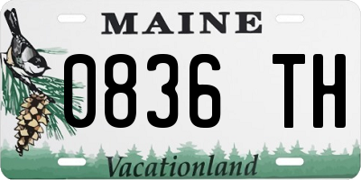 ME license plate 0836TH