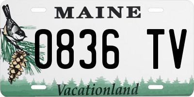ME license plate 0836TV