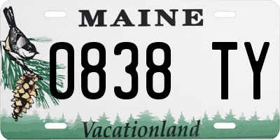 ME license plate 0838TY