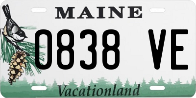 ME license plate 0838VE