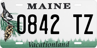 ME license plate 0842TZ
