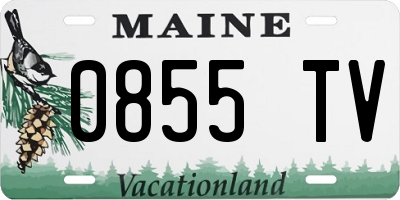 ME license plate 0855TV