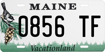 ME license plate 0856TF