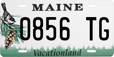 ME license plate 0856TG