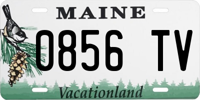 ME license plate 0856TV