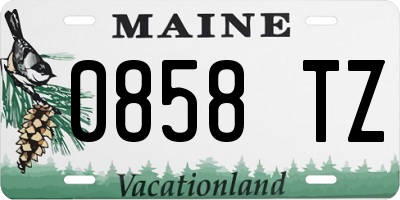 ME license plate 0858TZ