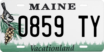 ME license plate 0859TY