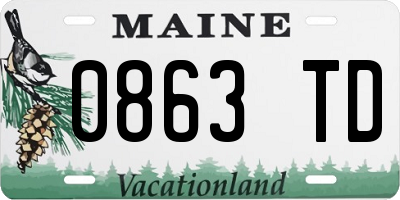 ME license plate 0863TD